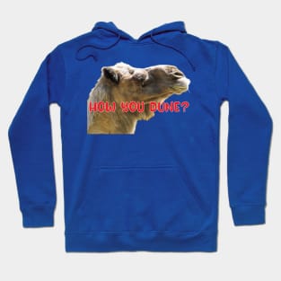 How You Dune? Funny Punny Dromedary Phrase Hoodie